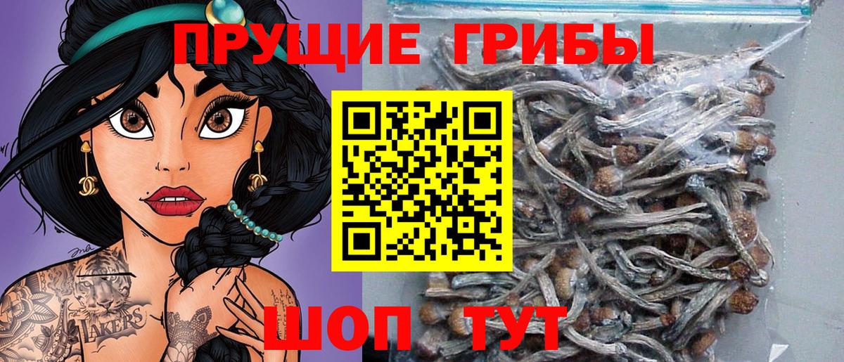 Псилоцибиновые грибы MAGIC MUSHROOMS  Вход с VPN  Новосибирск 